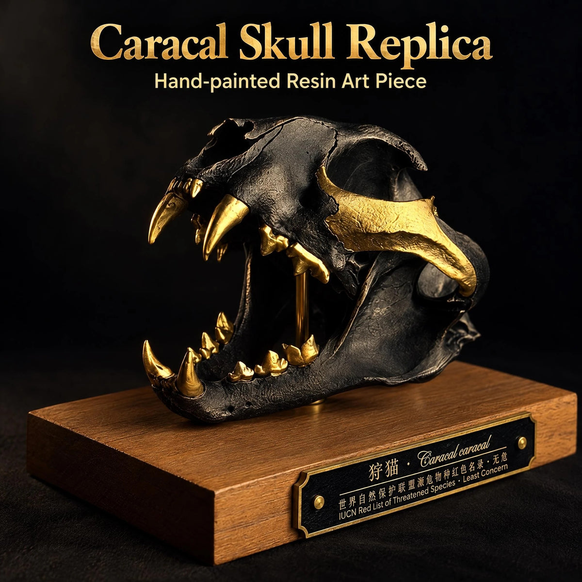Caracal Skull Replica