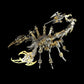 Scorpion Metal Puzzle Top