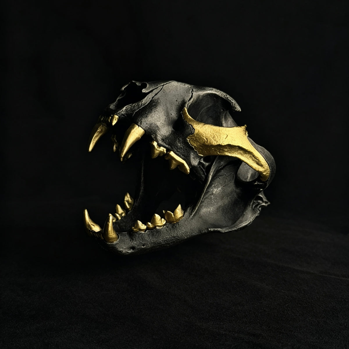 Caracal Skull Replica