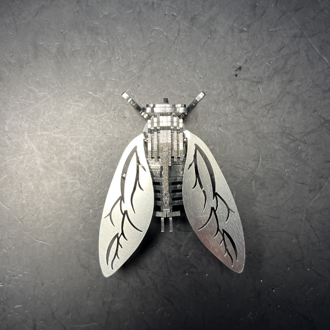 Cicada puzzle