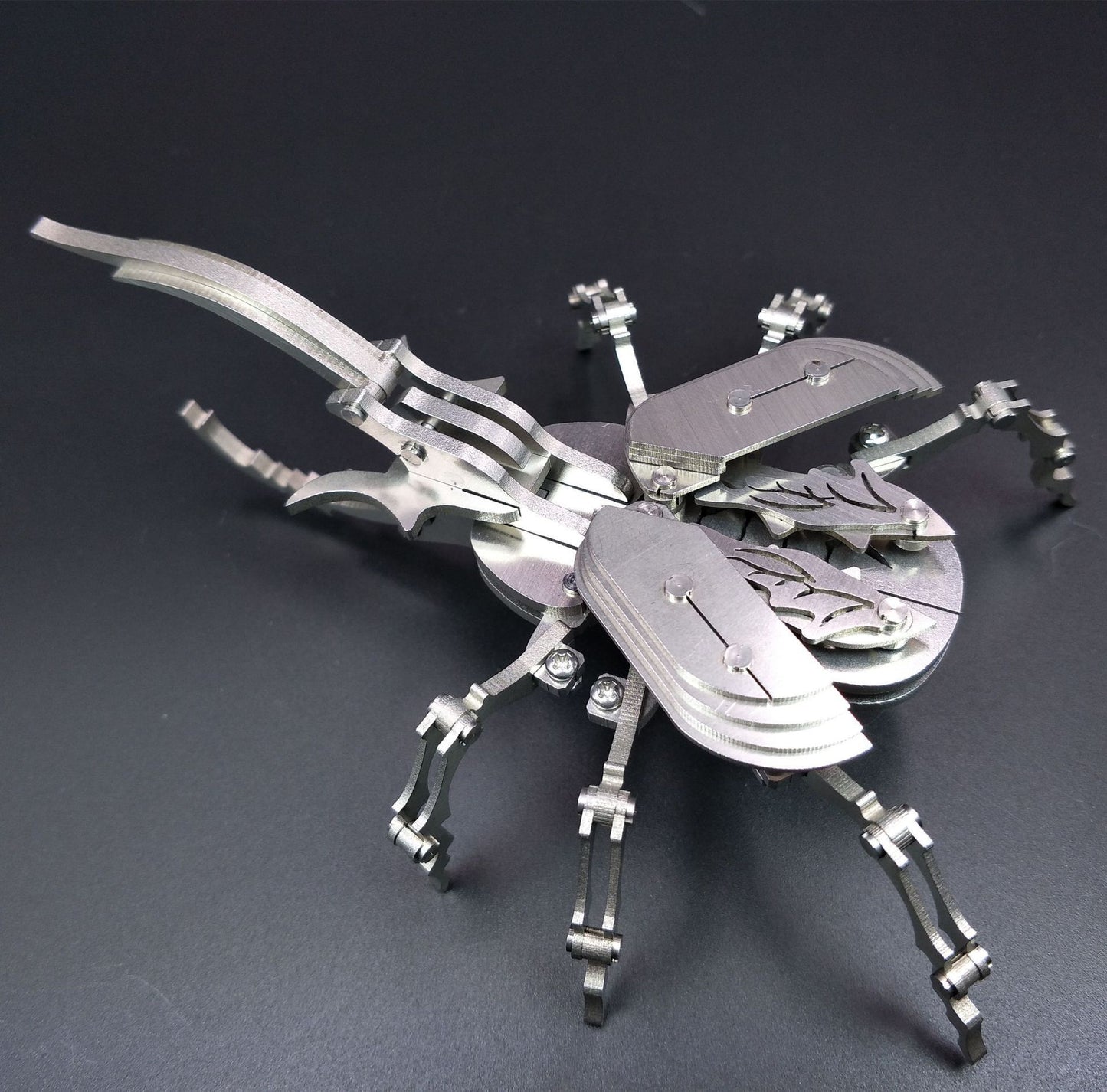 Iron beetle puzzle insect