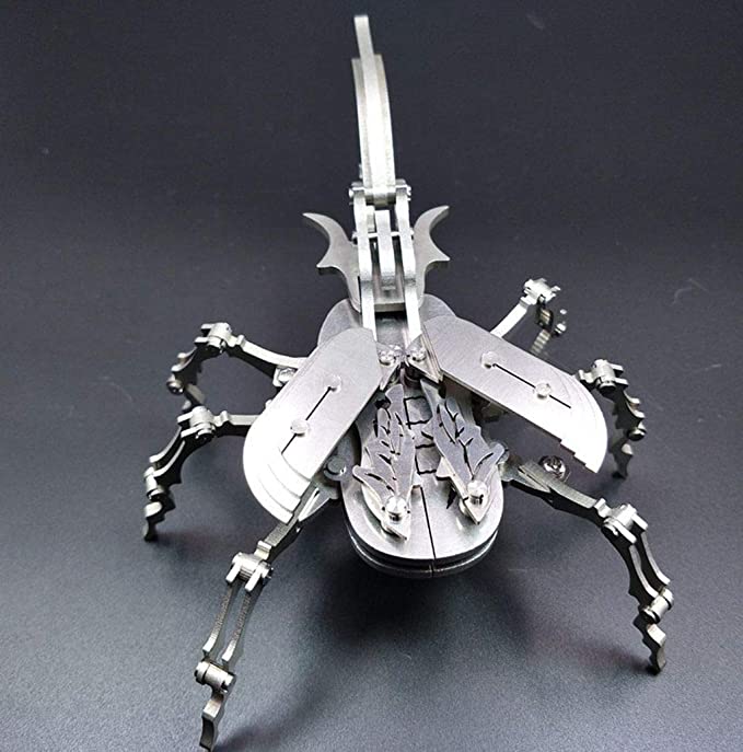 Iron beetle puzzle insect